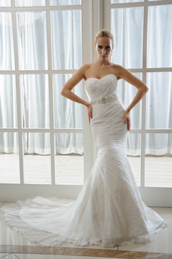 SOPHIA s - Click for details